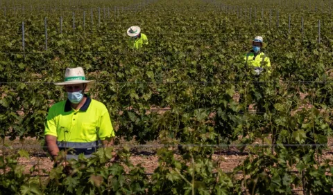 Europa enfrenta más  desafíos comerciales agroalimentarios