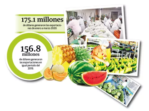 Exportaciones crecieron 11.7 por ciento en medio de la pandemia de Covid-19