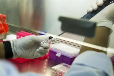 Científicos de Florida descubren que mutación hace más eficaz al coronavirus