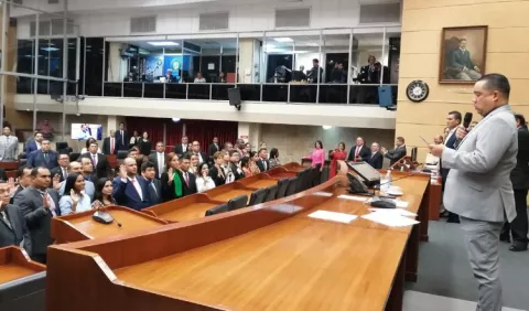Los diputados insistirán en sus proyectos de ley 