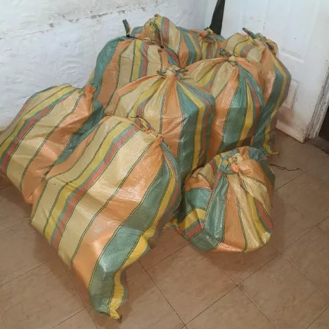 Incautan más de 250 paquetes de sustancias ilícitas en la comunidad de San Miguel
