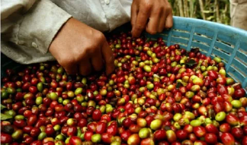 El déficit comercial hondureño baja 27% en cuatro meses