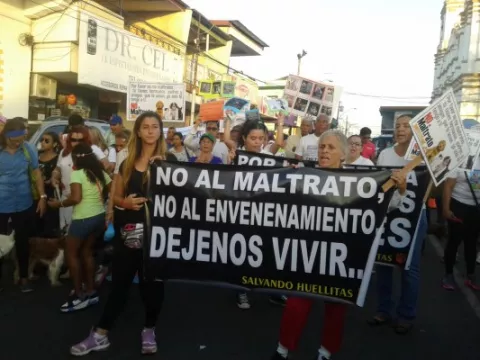 Exigen todo el peso de la ley para los jóvenes que tiraron un perro al río