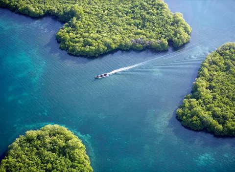 Se necesitan  estrategias para la conservación, protección, y el uso sostenible de los océanos, con la economía azul