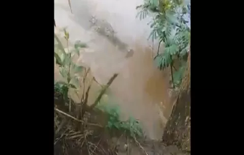 Piden pena máxima por arrojar perrita a río en Parita para que fuera devorada por un lagarto