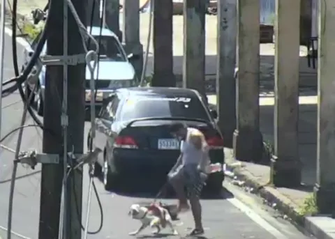 Cámara de videovigilancia capta a un hombre maltratando a su perro por la Casa Wilcox