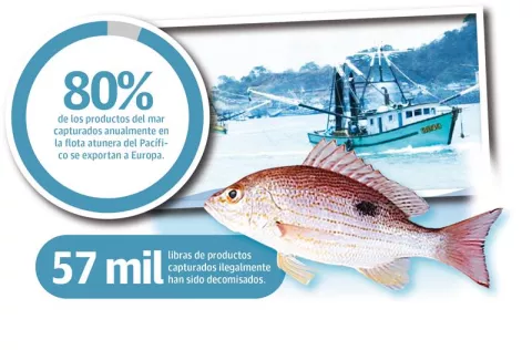 Panamá busca certificación de pesca por parte de la Unión Europea