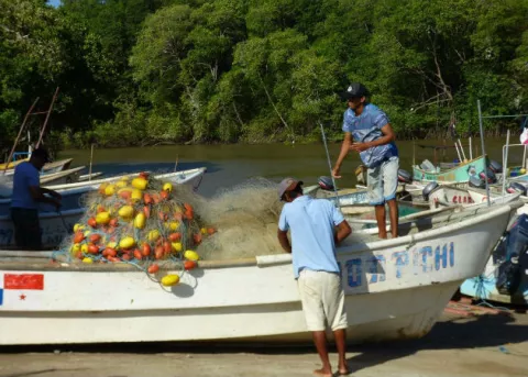  Gobierno panameño reitera su compromiso con el combate mundial de la pesca ilegal