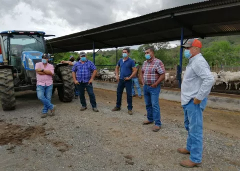 Productores de Azuero piden soluciones para salir de la crisis en el sector 