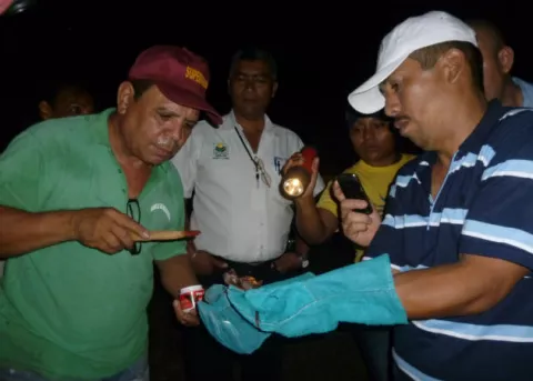 Ganaderos de La Chorrera alarmados por presunta rabia paralítica bovina