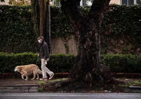 Con una simple caminata, se mantiene unido al mundo