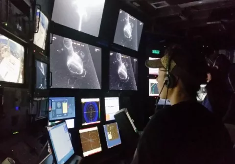 Nueva técnica ayuda a captar criaturas en las profundidades del mar