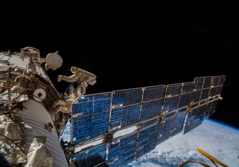 Vigilarán la fauna silvestre desde la Estación Espacial