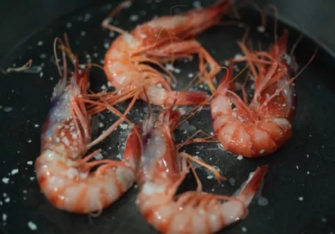 Manjar marino se puede costear por la pandemia