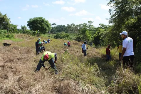Realizan jornada simbólica de reforestación en la escuela Playa Chiquita