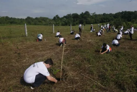 Celebran Día Nacional de la Reforestación en medio de la pandemia 