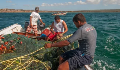 Unión Europea evaluará hoy a Panamá en su lucha contra la pesca ilegal