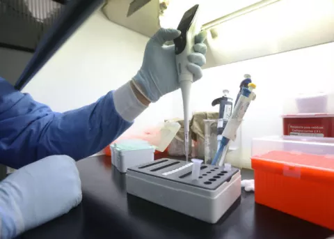 Biotecnológica Moderna empezará fase final de su vacuna contra COVID-19 en julio