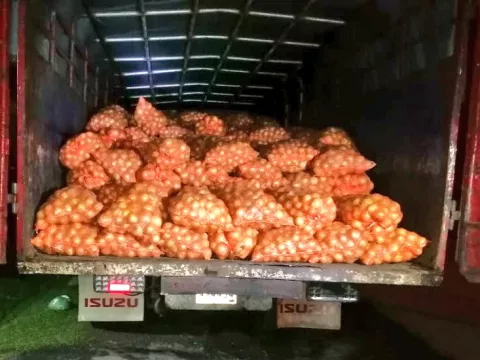 Retienen 325 sacos de cebollas en Chiriquí presuntamente de contrabando