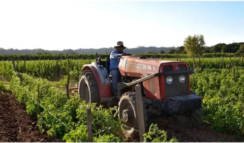 Sector agro sostiene economía brasileña