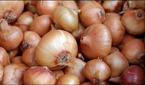 Hay un déficit de 25 mil quintales de cebolla