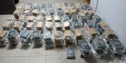 Incautan más de 300 paquetes de droga en un contenedor en un puerto marítimo de Colón