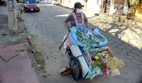 El endeudamiento por la pandemia durará  generaciones