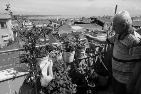 Beneficios de la jardinería en medio del confinamiento por la COVID-19