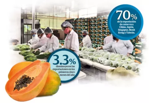 Exportadores  panameños buscan nuevos mercados en medio de la pandemia