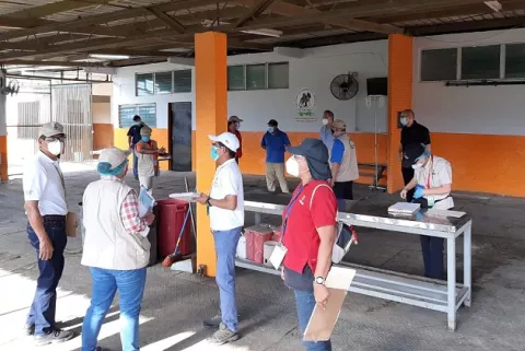 Confirman cuatro casos positivos de COVID-19 en el Hipódromo Presidente Remón