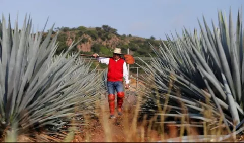 El déficit comercial en Honduras sigue a la baja a mayo