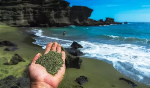 Playas verdes contra el calentamiento global