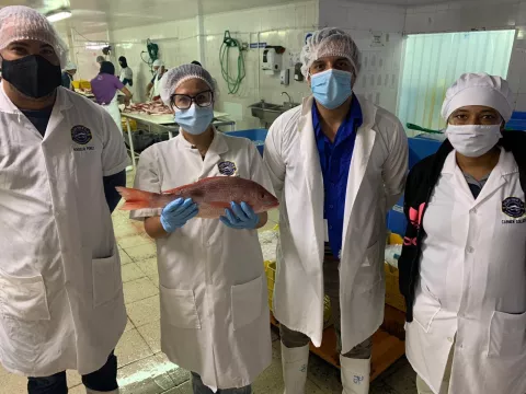 Planta procesadora de productos del mar de Monagrillo continúa con sus exportaciones al extranjero
