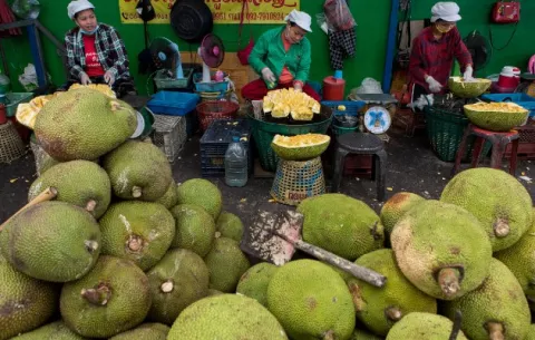 La venta de frutas sería el salvavidas económico de Tailandia