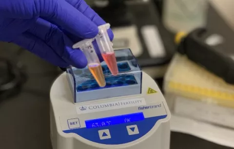 Cambian hisopos por tubos que recogen saliva para un resultado rápido