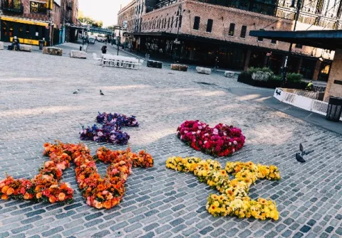 Esparce alegría con sus corazones florales