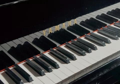 Encerrados, muchos deciden comprar un piano