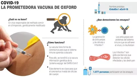 Científicos avanzan a una velocidad sin par para garantizar una vacuna segura contra el nuevo coronavirus