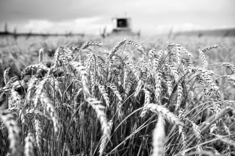 Repensar el agro, ¿para quién?