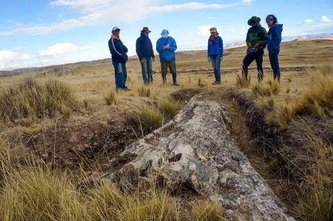 Árbol fósil cuenta los drásticos cambios ambientales