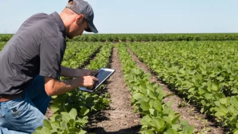 Brasil anuncia plan de digitalización  agrícola con apoyo de nobel de economía