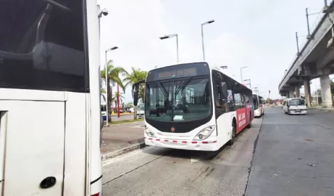 Buses eléctricos darán servicio de transporte público pronto