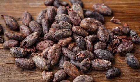Simposio virtual sobre el cacao