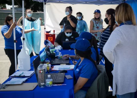 Detectan el primer caso de peste bubónica en California en cinco años