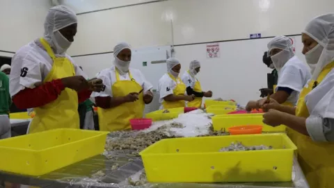 China levanta sanción a una exportadora de Ecuador 