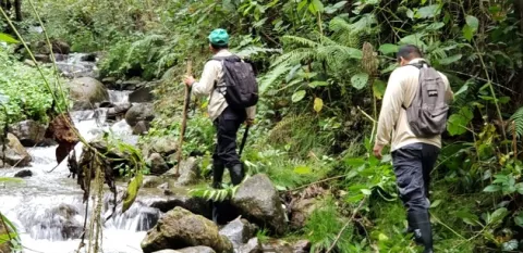 Realizan más de  600 patrullajes en los Parques Nacionales de Chiriquí