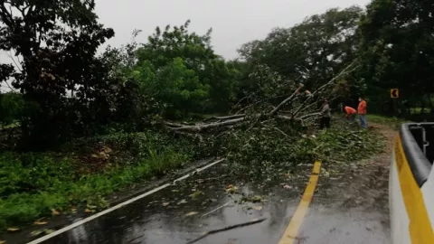 Lluvias y fuertes vientos azotaron Chiriquí, Colón y varios sectores de Azuero