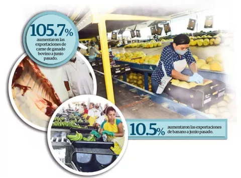 Exportaciones, clave en la  reactivación económica