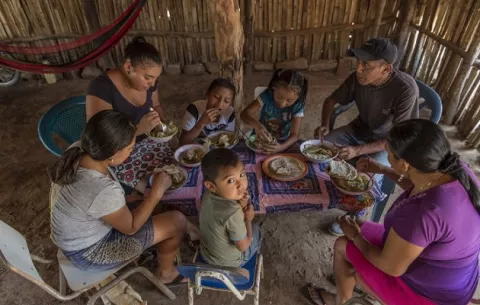 ¿Es posible alimentarse saludable con un bono de $100 y los ingresos reducidos?
