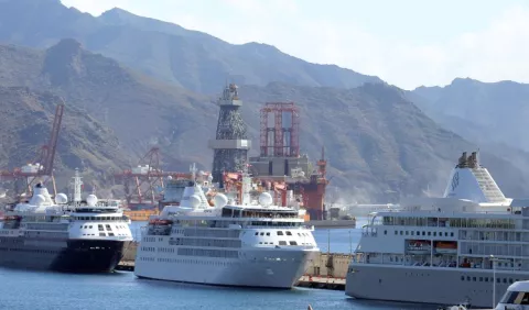 Cruceros prevén grandes pérdidas para este año